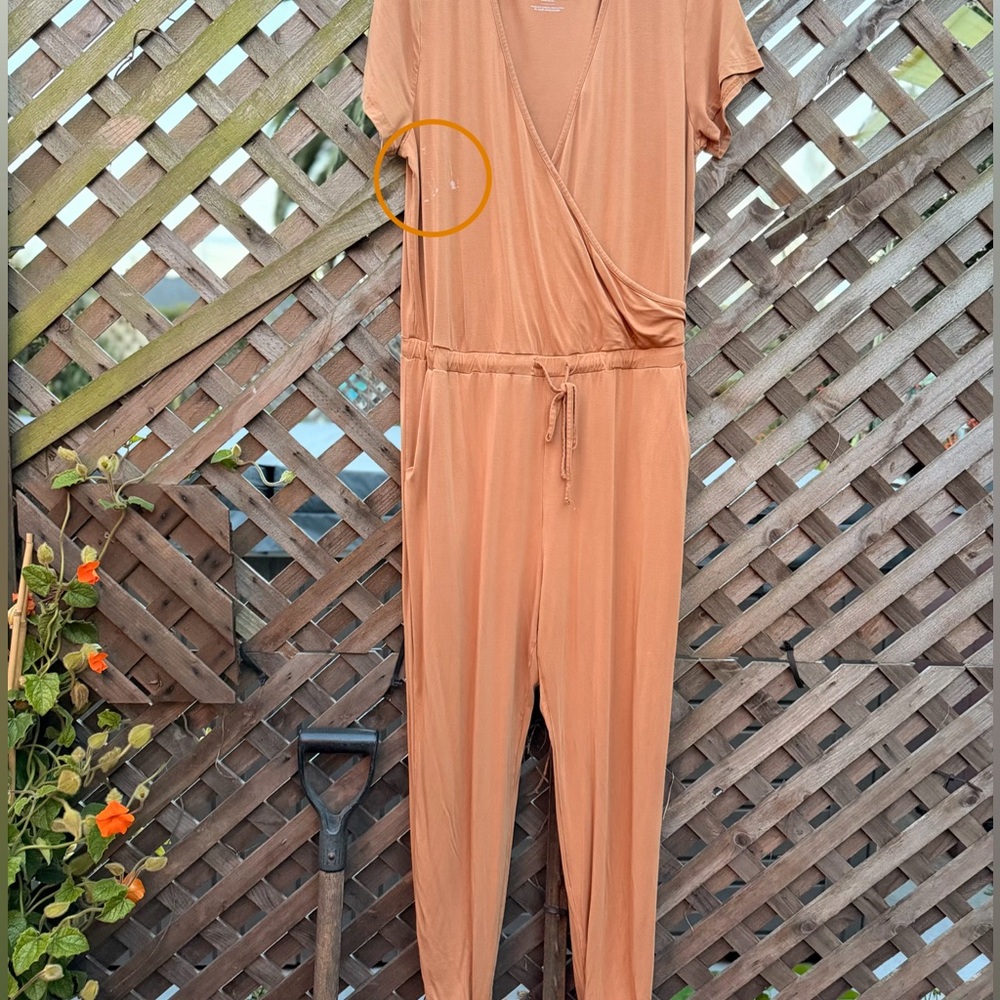 Bums & Roses Jumpsuit - Picture 4 of 6